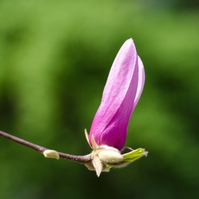 19. – 22. 4. a 25. 4. 2019 – Změna provozní doby